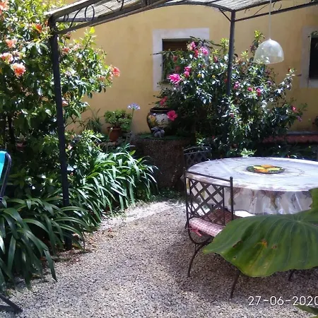 Duplex Oasis Avec Jardin Dans Vieille