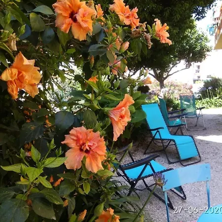 Apartment Duplex Oasis Avec Jardin Dans Vieille