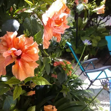 Duplex Oasis Avec Jardin Dans Vieille Menton